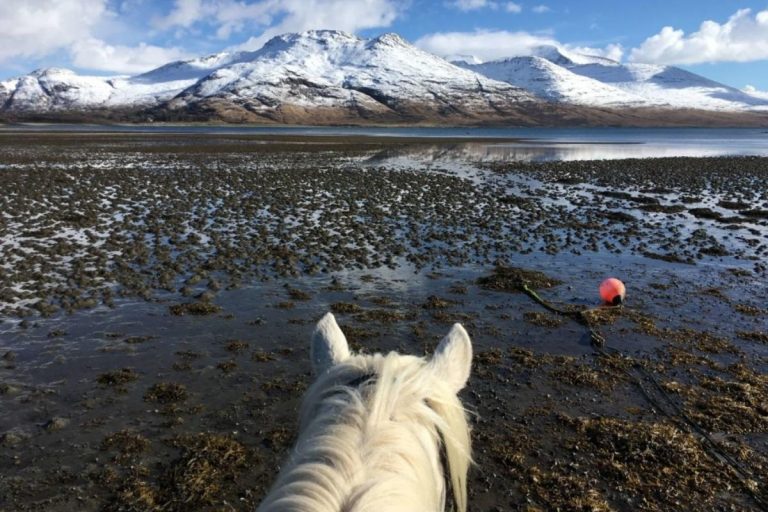 Mull Pony Trekking